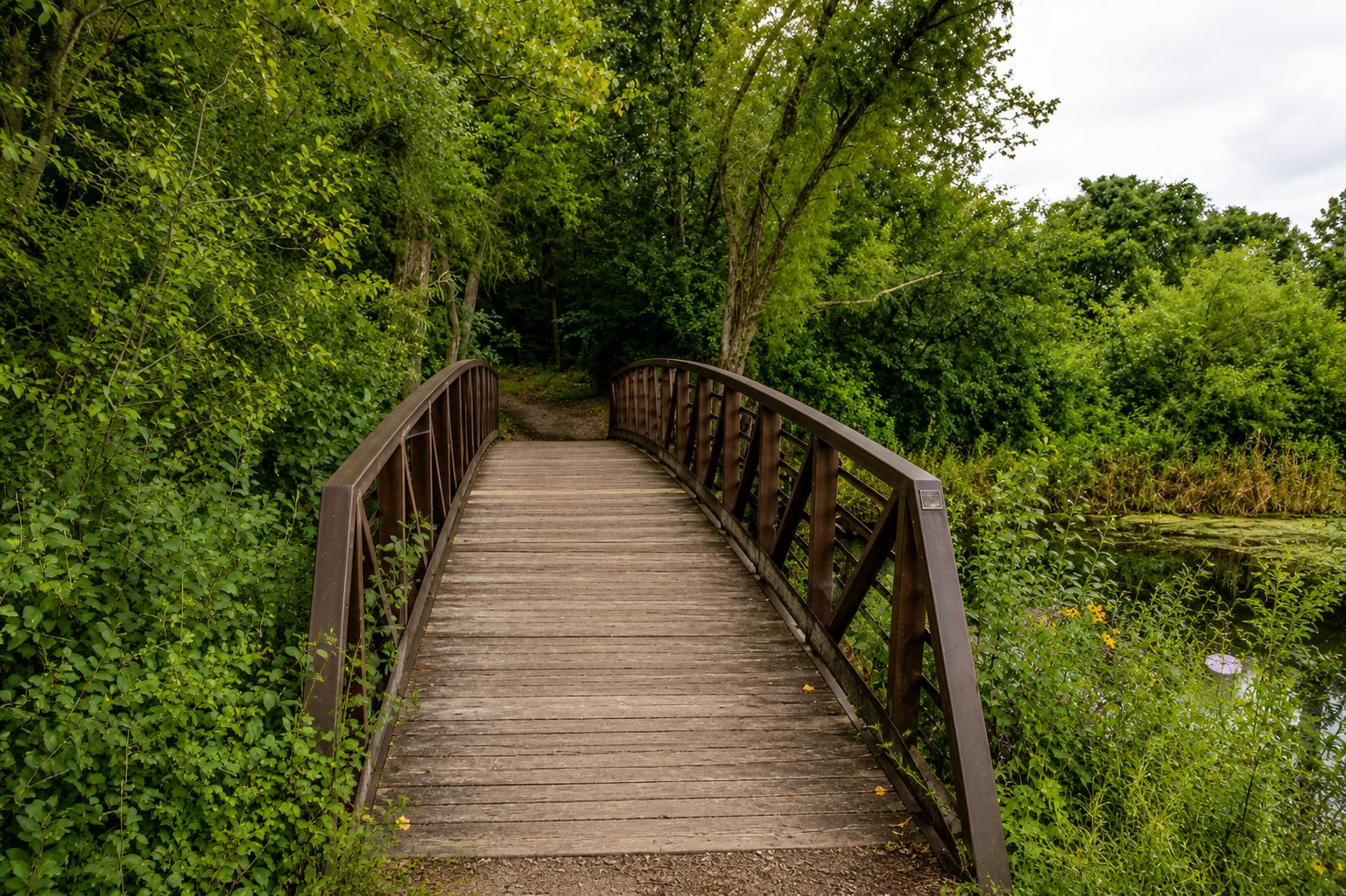 Quiet wooden bridge leading through a green pathway